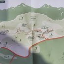 행복이피어나는카페