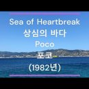 포코 ( 상심의바다) 이미지