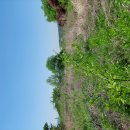 중말농장 이미지