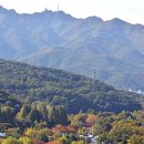 11월07일(목)[평일도보]과천 서울대공원 산림욕장 단풍길 갑니다. 이미지