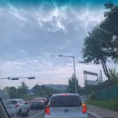 동팔이네 이미지