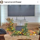 함초롬플라워 이미지