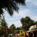 남인도 케랄라에서의 생활.. .아유르베다..요가..명상... 주변 풍경 이미지