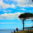 영천열매마농장 | 하와이 오하우섬 여행 호놀루루 카할라일 한반도 지도마을 돌 농장 Dole Plantation