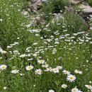 절골길민박 이미지