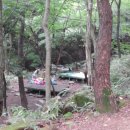 와룡자연휴양림자동차야영장 이미지