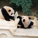 바오 - 남양주시 진건오남로 59 | 바오