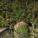 윤정 농장 이미지