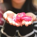 포레스트12 이미지
