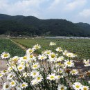 유곡면사무소 이미지