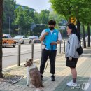 행동 이미지