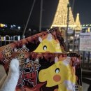 대교약국 | 부산 해운대 [ 와이홀릭 ] 광안리 요트투어 광안대교 드론쇼 불꽃놀이까지