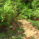 황정리 대흥사 앞 이미지