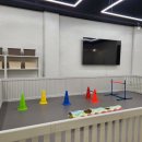 더 개편한세상 이미지