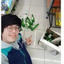 빵마을 네이버블로그