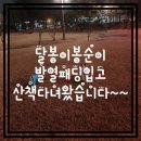 [산책일기]달봉이봉순이 발열패딩입고 산책다녀왔습니다~~