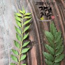 산초식당 이미지