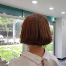 도블헤어 이미지