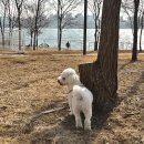 GS 25 다산한강 이미지