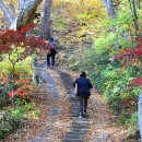 금정산 범어사ㅡ아름다운 가을전경 이미지