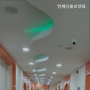 언제나봄 네이버블로그