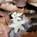 서신어린이집 이미지