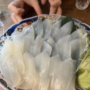 인우 | 천안 무늬오징어 맛집~ 성정동 이자카야 '인우' 내돈내산 후기