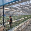 김학철농장 이미지