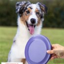 행운소프트 이미지