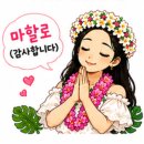 손끝으로 전하는 이야기  하와이안 훌라 | [분당훌라수업] 분당 시니어 훌라,행복했던 종강파티 / 2026년 7~8월 분당노인복지관
