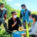 채령농장 이미지