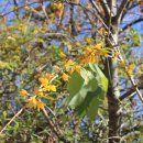 용사목장 이미지