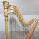 낭만시대 이미지