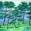 소나무풍경 이미지