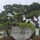 속리산면행정복지센터 이미지