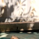 배식농장2 이미지