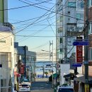 개미 게임랜드 | [직장 생존기] 나홀로 부산 출장