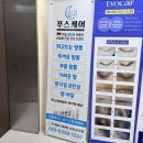 운정 에보케어 풍성한 속눈썹 리카앤드 속눈썹에서 관리받자
