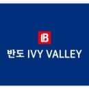 아이비부동산중개 이미지