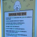 강아지트 이미지