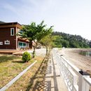 밤섬이야기 이미지