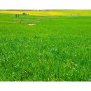 화원농장 이미지