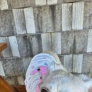 워니시티 이미지