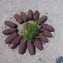 영문1리 이미지