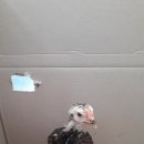 배들농장2 이미지