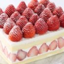 델리카한스 이미지