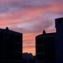 새벽노을 이미지