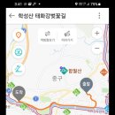 벚꽃길 Daum카페