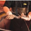 김영철농장 이미지