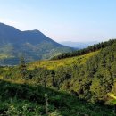 지리산꾸지뽕농장 이미지